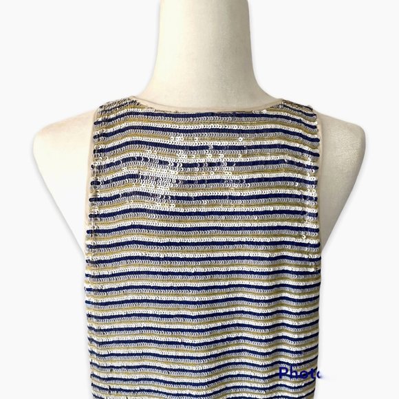Sequined Striped Long Tank w/Silk Cream Piping Size Large by Theory - Picture 8 of 11